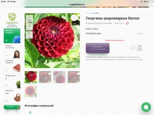 6E2E4C3E-B09C-46D2-B6F6-6690C1DB602E.png