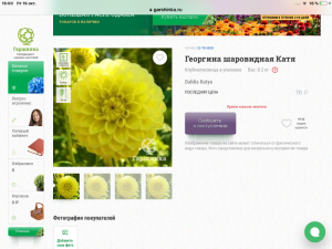 C274D7B8-B700-49E9-867F-878EBDF01905.png
