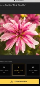 E61CA6BE-B024-41B5-8FB5-F2A9B84BB2C9.png