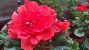 IMG_20210717_134016.jpg