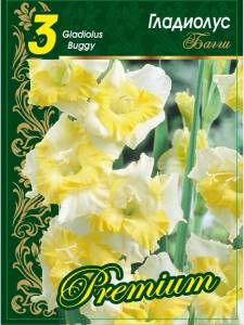 gladiolus-baggi-1-up-3-sht.jpg