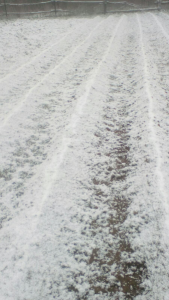 image.thumb.png.23e58ed328f06faf4892b3ce10ec605f.png