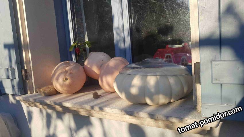 20211006_182049_compress82.jpg
