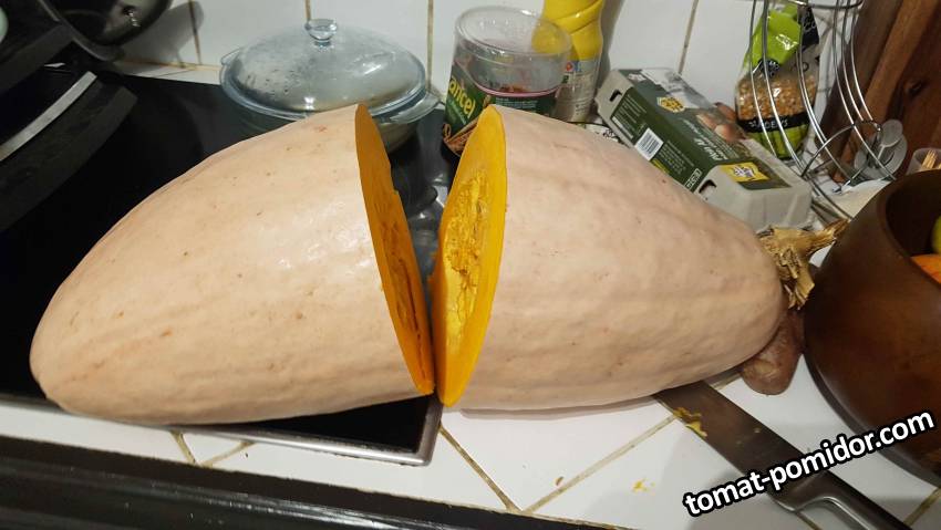 Pink Jumbo Banana 6.4kg
