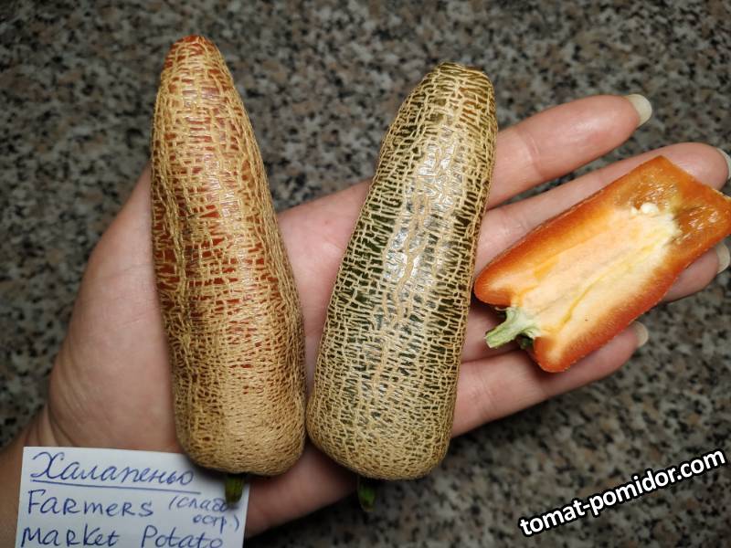 Jalapeño farmers market potato 5.jpg