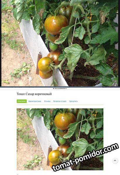 Моя фотка сворована сайтом строй-подсказка