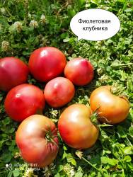 Фиолетовая Клубника ( Purple Strawberry, США)