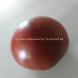 Ежевика/Черная ягода (Blackberry)