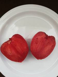 1502706274_2.thumb.jpg.6d4bc26c31cfcfa79bd2e8039b873a8b.jpg