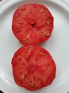 65407910_7.thumb.jpg.39dccd143091f50337219b721ab25c83.jpg