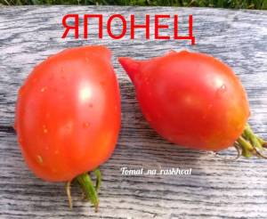 Polish_20210831_201535666.jpg