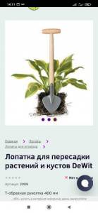 Screenshot_2021-11-03-14-11-44-269_com.yandex.browser.jpg