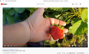 image.thumb.png.87d9716b93b69dac76e82d605adb2f67.png