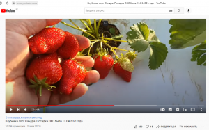 image.thumb.png.f05ccb6584139bc94f9bf9bdf5dbcf48.png
