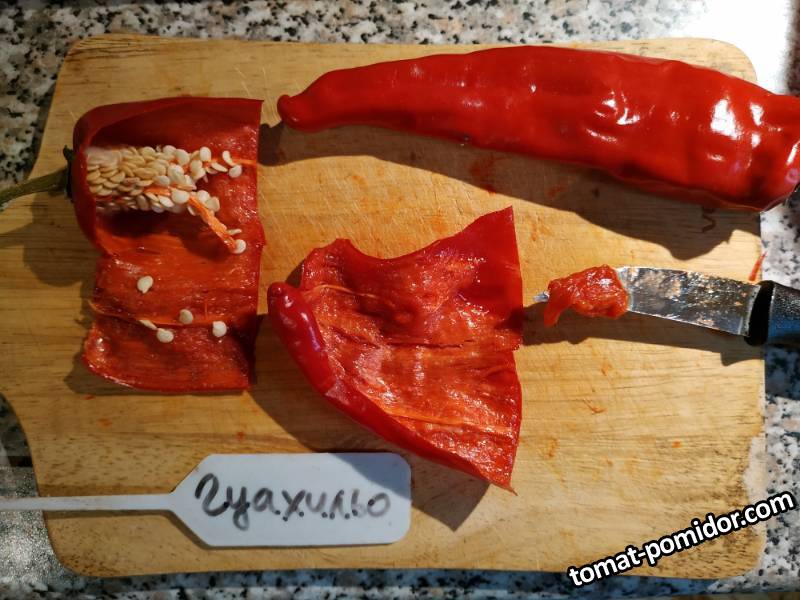 Гуахильо (GUAJILLO)5.jpg