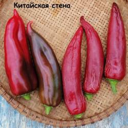 Китайская стена..jpg