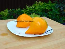 1 оранжевая ягода.png