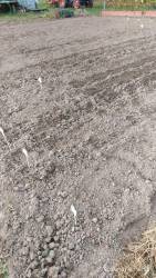 IMG-20211111-WA0030.jpg
