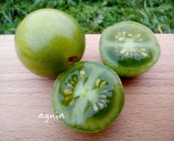 Green Doctor's Frosted