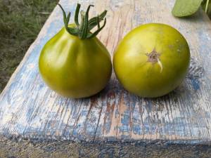 Фландрия контрасттт.jpg