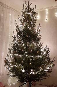 20211224_184346.thumb.jpg.a8658eff3c07f5243308533c901ac404.jpg