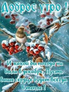 IMG-20211225-WA0000.thumb.jpg.02729bd304858f22642c405335d60896.jpg