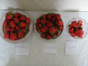 IMG_20200612_172744.thumb.jpg.316f62cddf0cc17e14ca882af931da79.jpg