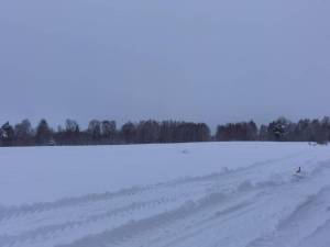IMG_20211208_141913.thumb.jpg.91d011fe34b4b0af57d3ee3db0dc9da4.jpg