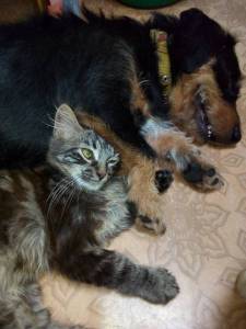IMG_20211220_201200.jpg