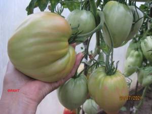 IMG_2862.thumb.JPG.46dcff732868ea663b5976e9981bd1da.JPG