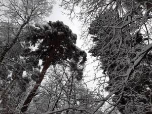 Resizer_16395578468091.jpg