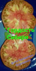 изображение_viber_2021-08-03_21-55-47-718.jpg
