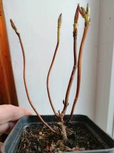 ноябрь 2021.jpg