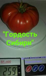 изображение_viber_2021-08-03_21-53-10-330.jpg