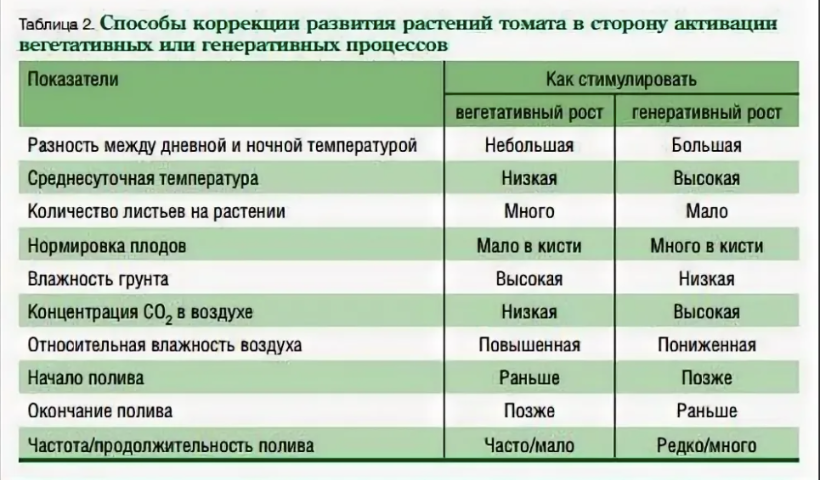 Чем отличаются вегетативные от генеративных