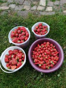 IMG_20200705_083337.jpg