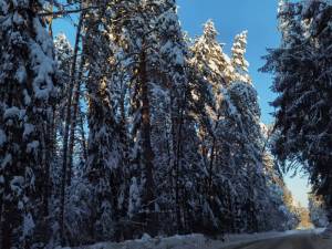 IMG_20220108_110520.thumb.jpg.a65a3b25882a23289085962c9b65b0e6.jpg