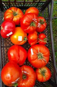 IMG_20220118_110827.jpg