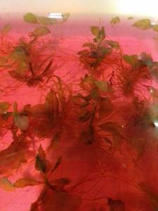 IMG_20220128_195713.thumb.jpg.0b8eea87baf8be076f73bac7f820c95a.jpg