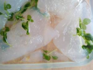 IMG_20220129_155709.jpg