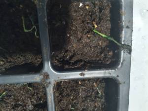 IMG_20220129_173344_5.jpg