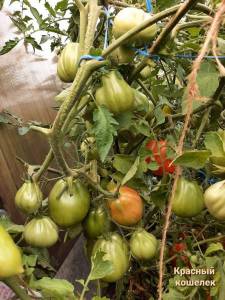 IMG_20220131_212551.jpg