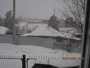 IMG_6604.thumb.JPG.d489f9d0cbe7d450bcfb3a12312a0432.JPG