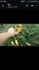 Screenshot_20220110-220037.thumb.jpg.fe99522d4acdeb0411b57f55c46a94b4.jpg