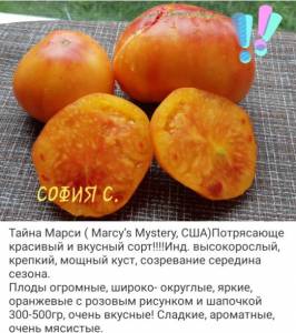 Screenshot_20220113-231815_OK.jpg