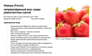 image.thumb.png.6d0b0e7ae180301752a46ad804d122da.png