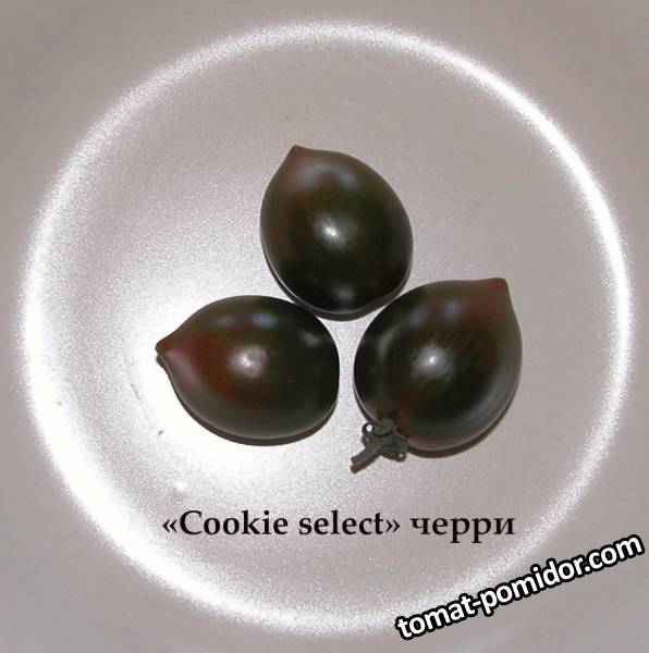 Cookie select cherry / Избранное печенье
