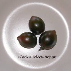 Cookie select cherry / Избранное печенье