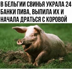 i (50)_edit_39508110836157.jpg