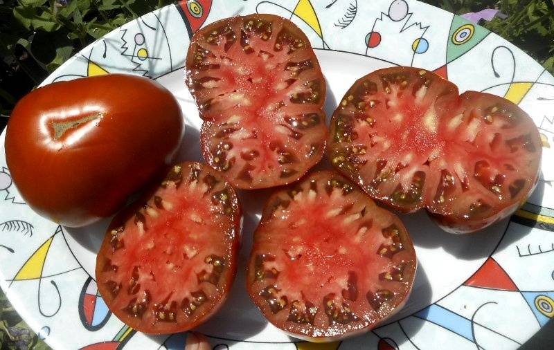 Радуга в моём саду 2022...lifes beautiful - Страница 9 - Дачные дневники2022 - tomat-pomidor.com - форум